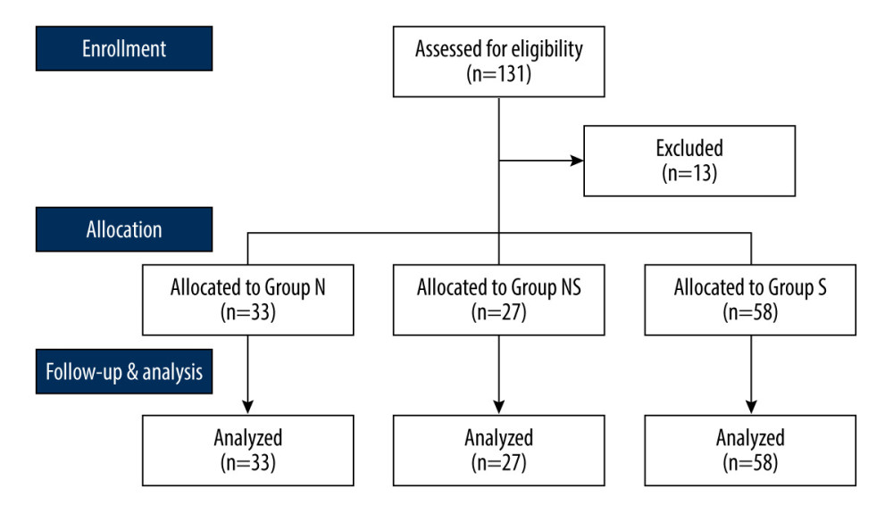 Study flow diagram. Design of the study to compare the impact of different types of α−1 adrenergic blockers on the sedative effects of the α−2 adrenergic agonist dexmedetomidine in 118 patients undergoing urologic surgery. Group N – no medication group; Group NS – nonselective α−1 blocker medication group; Group S – selective α−1 blocker medication group. This Figure was created by MS PowerPoint, version 2016, Microsoft.