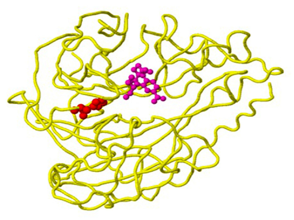 Structure of the neuraminidase of the virus B/Phuket/3073/2013 with the D356H mutation detected in clinical sample number 203, as an example of a mutation with the property of drug binding. The location of the mutation corresponds to position 224 of the A chain (yellow backbone) and is 5 Ångström (A) from the drug-binding site (created using the FluSurver mutations app – https://gisaid.org/database-features/flusurver-mutations-app/).