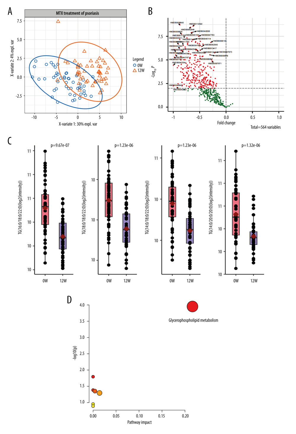 Lipid metabolic alterations in patients with psoriasis after methotrexate (MTX) treatment(A) Principal component analysis plot clearly separating samples from 0 and 12 weeks of MTX treatment in cohort 1. (B) Volcano plot showing 139 differentially expressed metabolites. (C) Three representative lipids were significantly altered after 12 weeks of MTX treatment. Each dot indicates an individual. The 1 quantile and mean and 3 quantile levels are shown in the boxplot. (D) Metabolic pathways showed that the differentially expressed lipids are prominent in the glycerophospholipid pathway. (Figures were generated by R with ggplot2_3.4.2, EnhancedVolcano_1.16.0. The metabolic pathways analysis was based on MetaboAnalyst 6.0.).