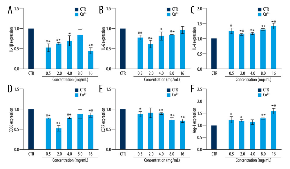 The effect of Cu2+ ions on the expression of cytokines and surface markers in macrophages. The expression of proinflammatory cytokines, IL-1β (A), IL-6 (B), and anti-inflammatory cytokine, IL-4 (C) of macrophages cultured with different concentrations of Cu2+ ions at day 3. The expression of M1 phenotype surface markers, CD86 (D), CCR7 (E), and M2 phenotype surface marker, Arg-1 (F) of macrophages cultured with different concentration of Cu2+ ions at day 3. The relative gene amount of CTR group was set as 1. * p<0.05, ** p<0.01, *** p<0.001, n=3.