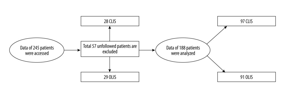 Flow chart of patients included in the study.