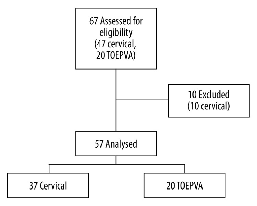Analysis of total parathyroidectomies performed and included in the study.