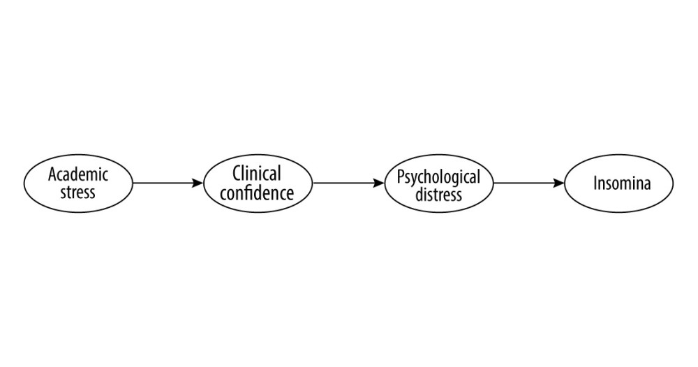 A proposed model to examine the relationships between study variables. This figure was created using PowerPoint 365, Microsoft.