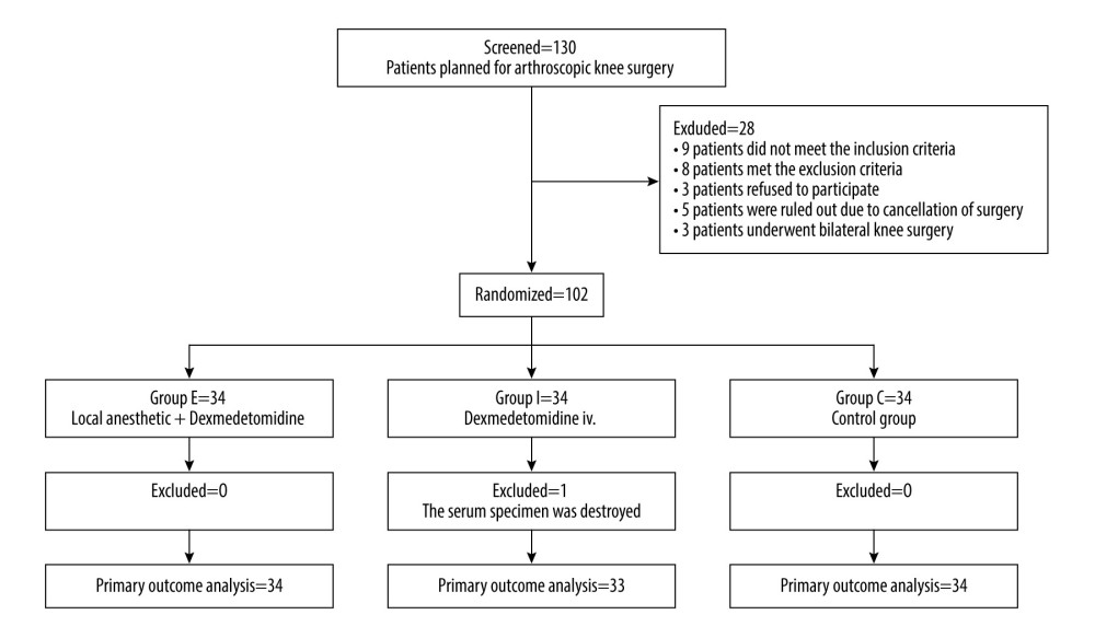 Patient enrollment, inclusion, and exclusion processes. Group E, perineural DEX adjuvant+IPACK+ACB. Group I, intravenous DEX+IPACK+ACB. Group C, (IPACK+ACB) control group.