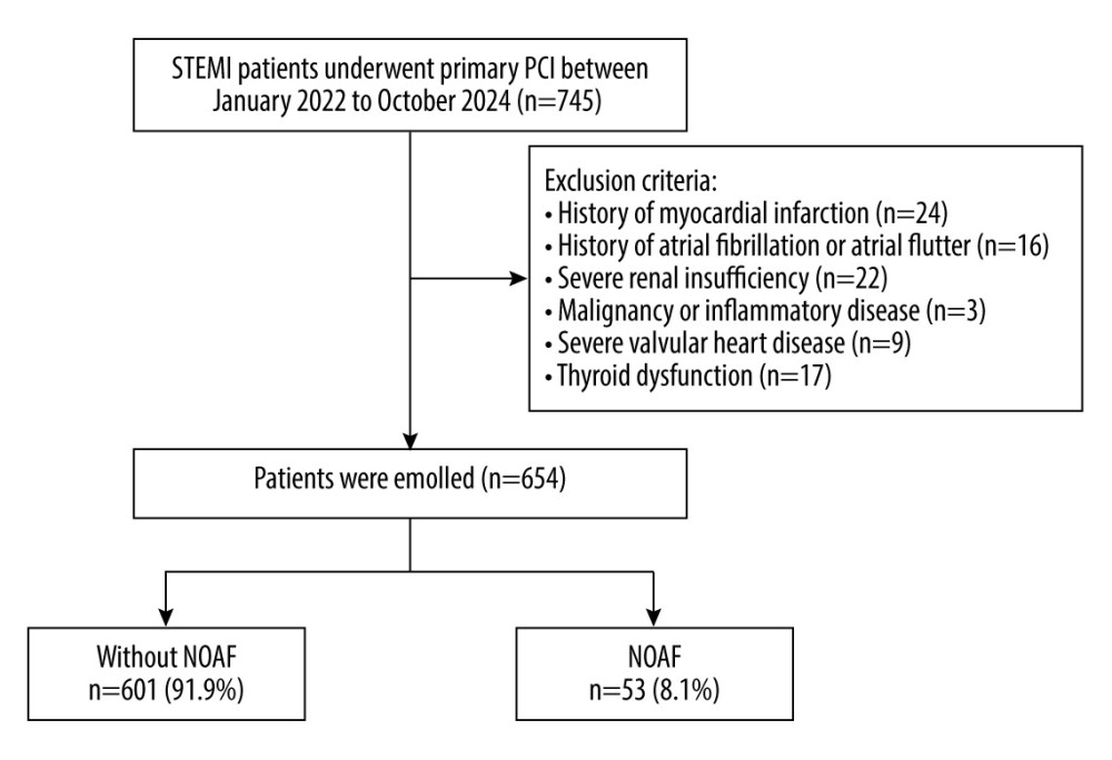 Flow diagram of the study cohort. STEMI – ST-elevation myocardial infarction; PCI – percutaneous coronary intervention; NOAF – new-onset atrial fibrillation. This figure was generated using Microsoft PowerPoint (Microsoft, Redmond, WA, USA).