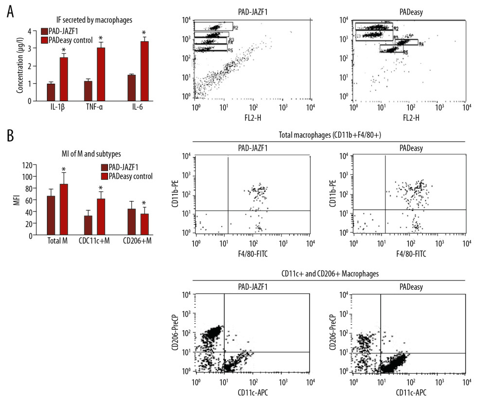Cell populations and secretion levels in mouse peritoneal macrophages and subtypes in extracts obtained from co-culture conditions. (A) Inflammation-related factors secreted by mouse peritoneal macrophages. Flow cytometry results of IL-1β (gate R3), IL-6 (gate R4), and TNF-α (gate R5) in each group. (B) Mouse peritoneal macrophages and subtype populations. Values are presented as means±SEM (n=6/group). * P<0.05 vs. the pAdEasy control group.
