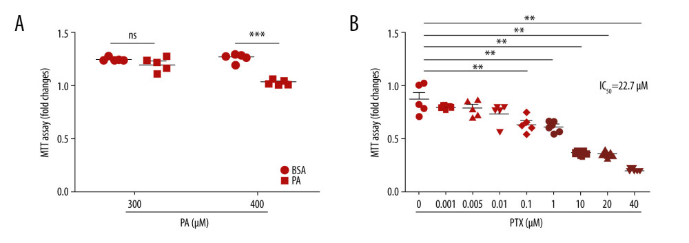 Effect of palmitate and paclitaxel on cell viability based on MTT assay. Cell viability was determined by MTT assay. (A) Mouse podocyte cells were incubated with 2 different concentrations of palmitate (300 μM and 400 μM) for 24 h. (B) Mouse podocyte cells were incubated with paclitaxel for 24 h at concentrations of 0–40 μM. IC50=22.7 μM. Error bars represent the mean±SEM (n=5). BSA – bovine serum albumin; PA – palmitate; PTX – paclitaxel. ** P<0.01 compared with control, *** P<0.001 compared with control.