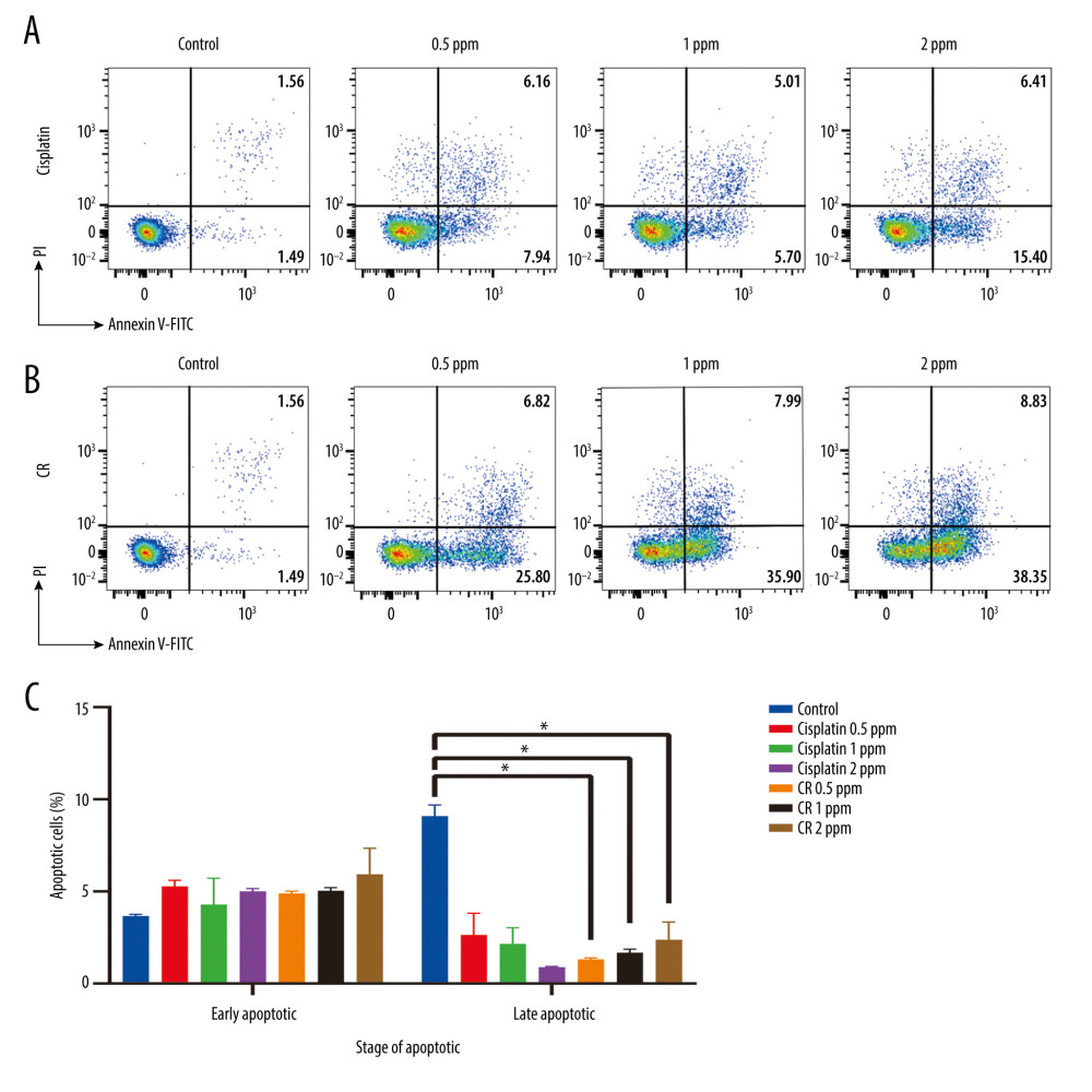 Annexin V/PI double-staining assay of A549 cells treated with 0.5 ppm, 1 ppm, and 2 ppm of cisplatin and crude ricin (CR) for 24 h. Representative flow cytometry result showing (A) cisplatin-dose-dependent and (B) CR dose-dependent alteration distribution of early and late apoptosis. (A1) and (B1) show negative control of cell line, (A2–A4) show increased apoptotic cells after cisplatin treatment, (B2–B4) show increased apoptotic cells after CR treatment. (C) Bar graph shows the average increased proportion of early and late apoptosis after cisplatin and CR treatment. Data are presented as mean±standard error minimum (SEM) (n=3). One-way ANOVA followed by Tukey’s post-hoc test was conducted. * P<0.05.