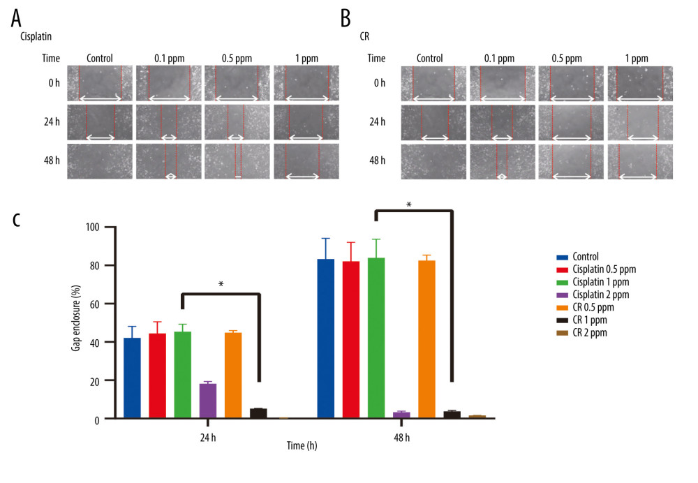 Effect of cisplatin and crude ricin (CR) on migration activity of A549 cell lines. (A) and (B) are representative photographs of cell migration of A549 cell lines treated with cisplatin and CR for 24 h and 48 h, respectively. The white line reflects gap enclosure. (C) Quantification gap enclosure (% area). Data are presented as mean±standard error minimum (SEM) (n=3). One-way ANOVA followed by a Tukey’s post-hoc test was conducted. * P<0.05.