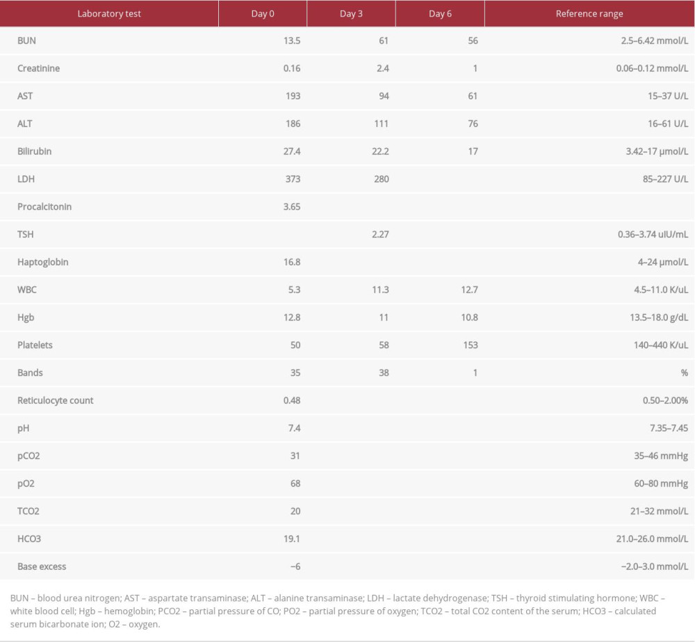 Pertinent laboratory values with reference ranges.