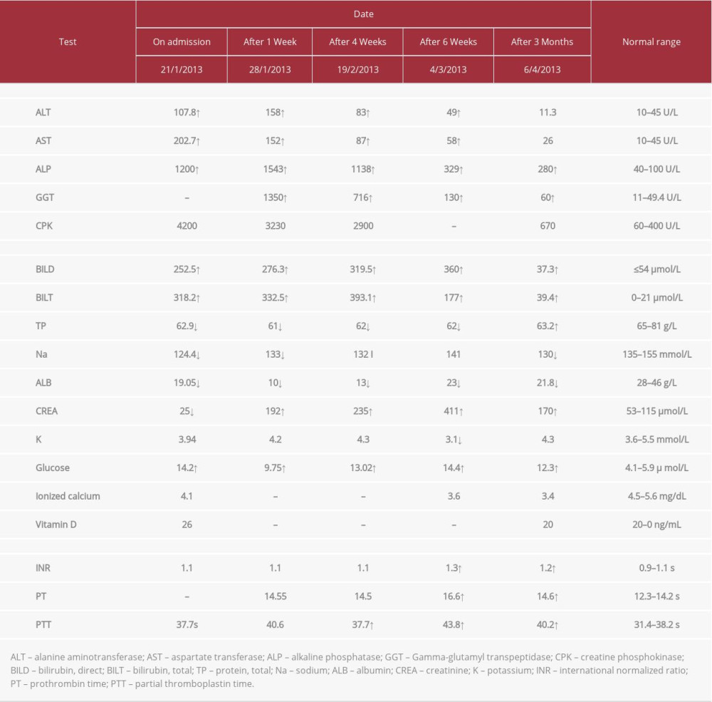 Patient laboratory values.