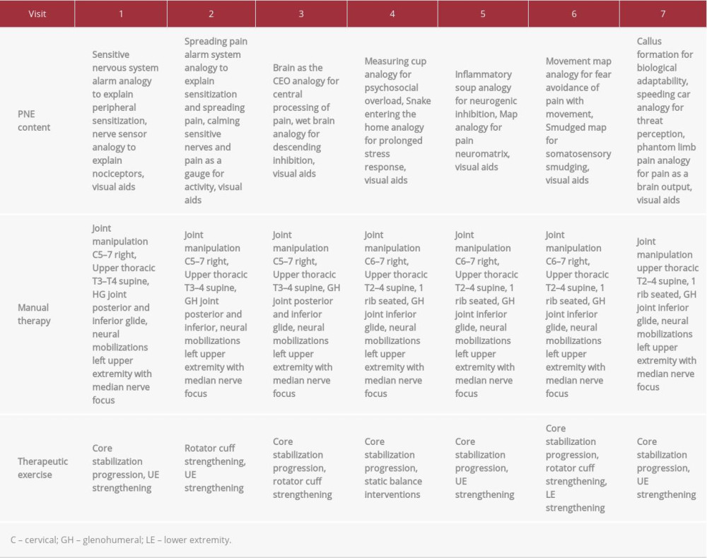 Pain neuroscience education curriculum and treatment data.