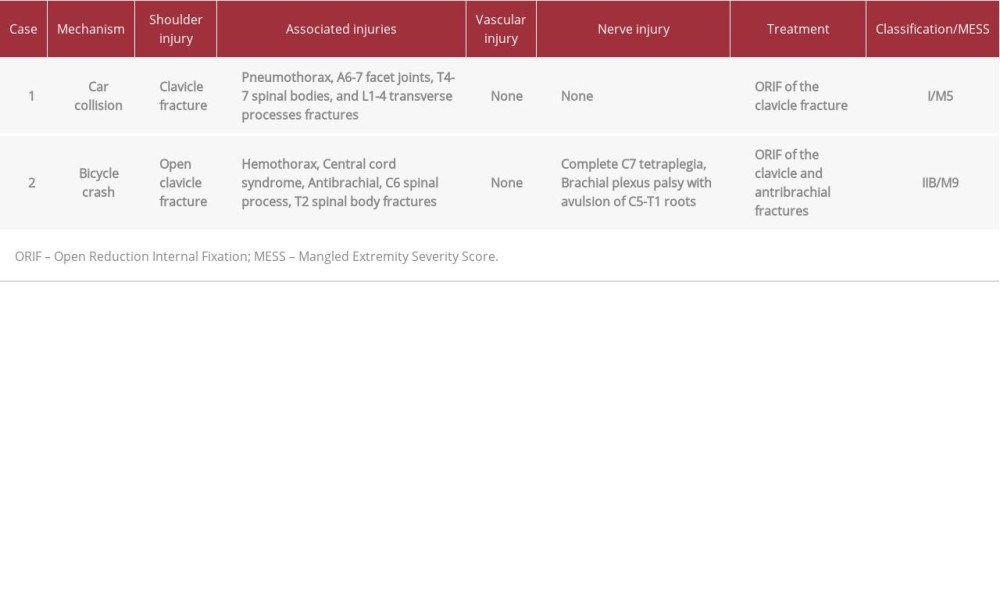 Summary of the 2 cases of scapulothoracic dissociation.