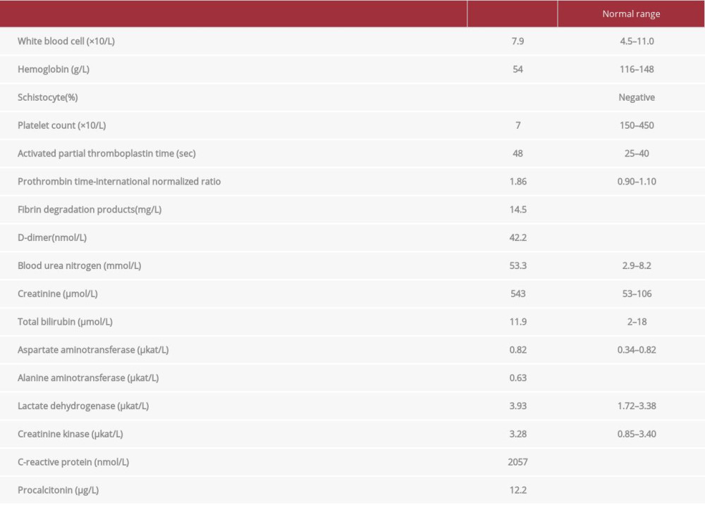 Laboratory values at admission.