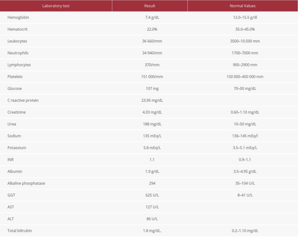 Laboratory tests at hospital admission.