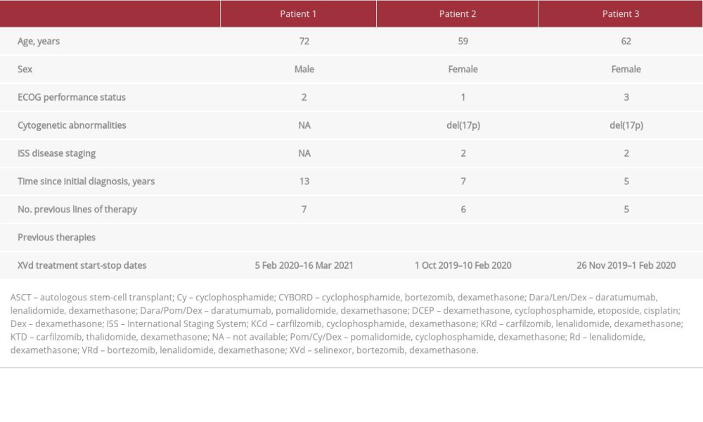 Patient demographics and clinical characteristics at start of selinexor combined with bortezomib and dexamethasone (XVd) treatment.