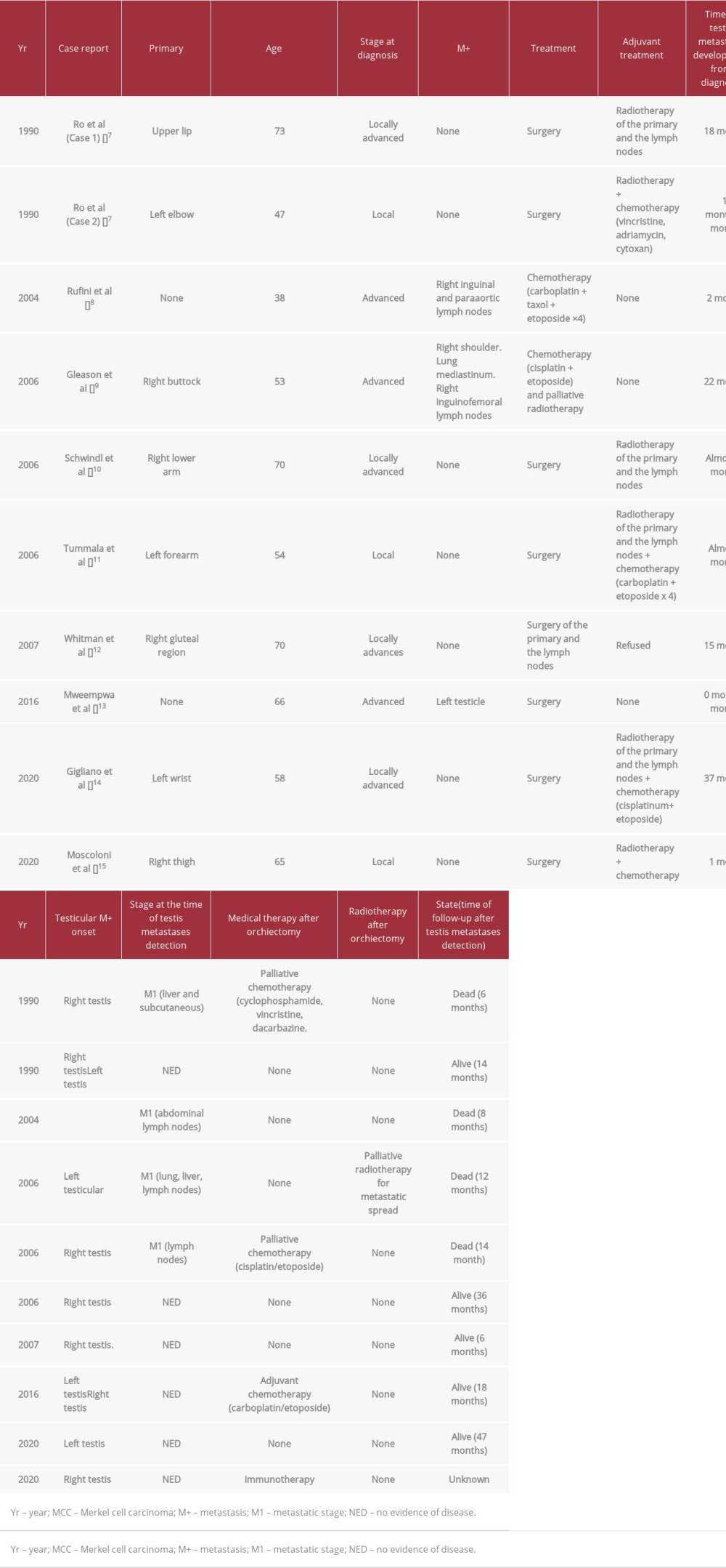 Cases of testis metastases of Merkel cell carcinoma reported in literature. Clinical, pathological, and therapeutic features of the MCC cases are reported. In last column, we reported (when available) the survival of the patients after the testis metastasis detection.