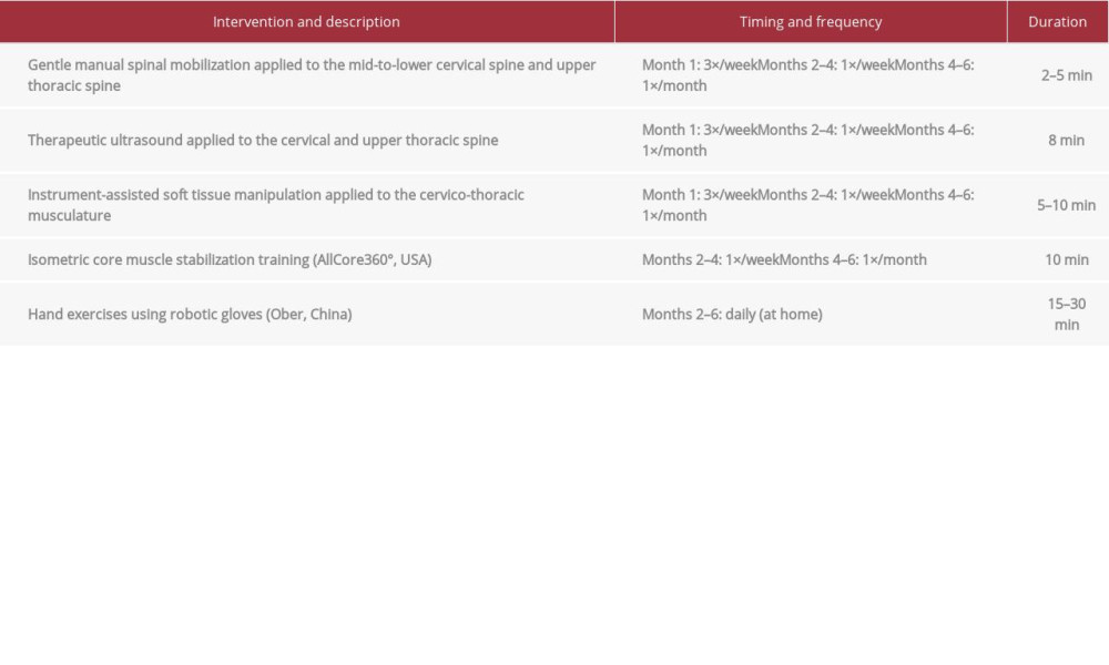 Timing and details of multimodal chiropractic and rehabilitative therapies.