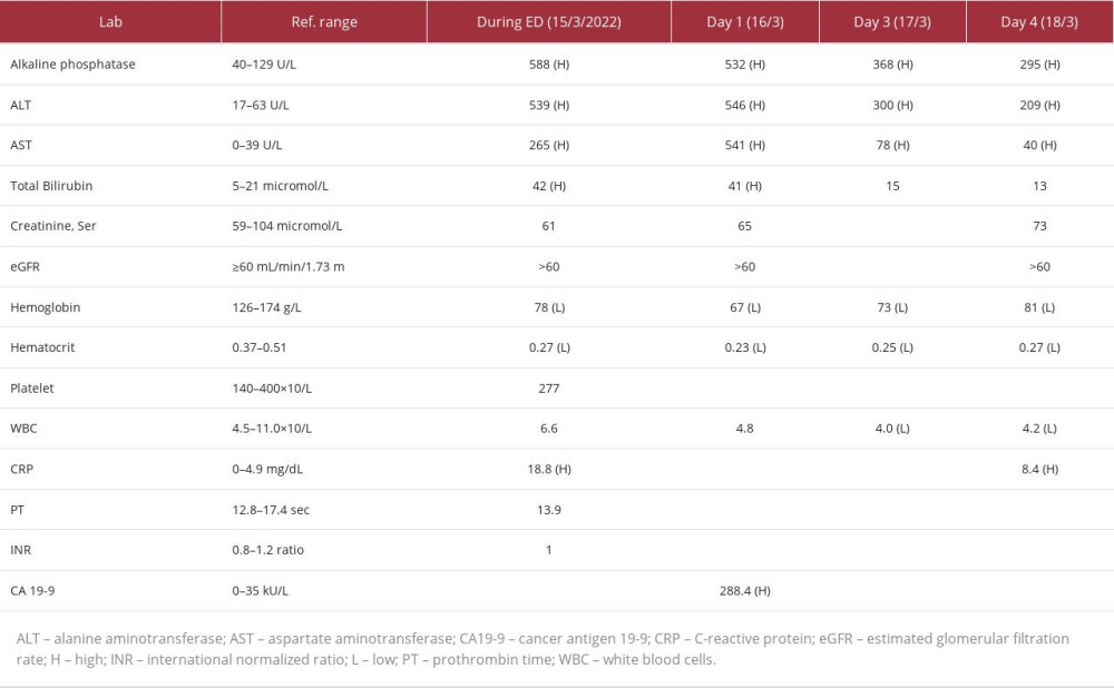 Patient laboratory values on presentation to the emergency room.