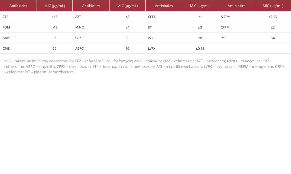 Minimum inhibitory concentrations required for antibiotic efficacy against Shewanella algae.