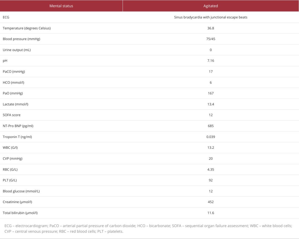 Characteristics of the patient on admission.