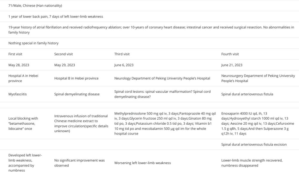 Summary of the patient’s treatment process.