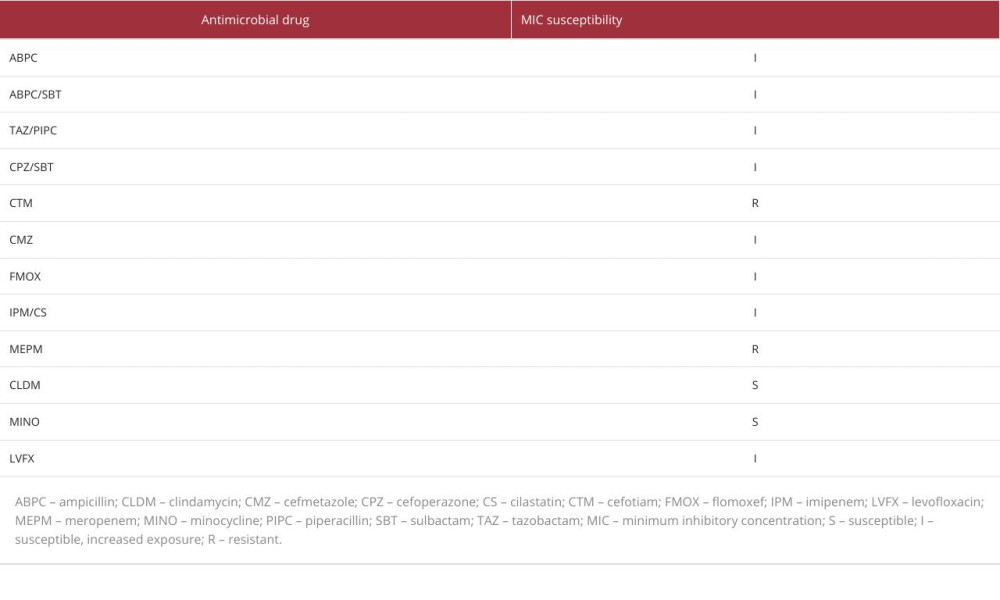 The drug sensitivity results for isolated B. breve in this case.