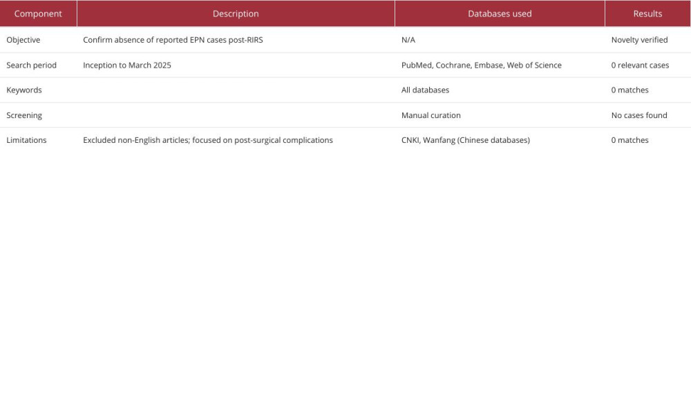 Literature search strategy summary.