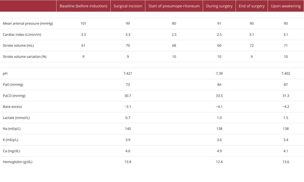 Hemodynamic data and arterial blood gas analysis.