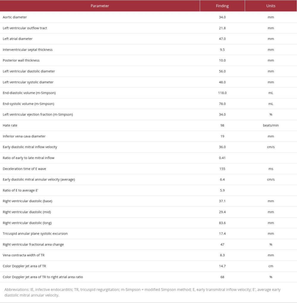 Transthoracic echocardiographic findings.