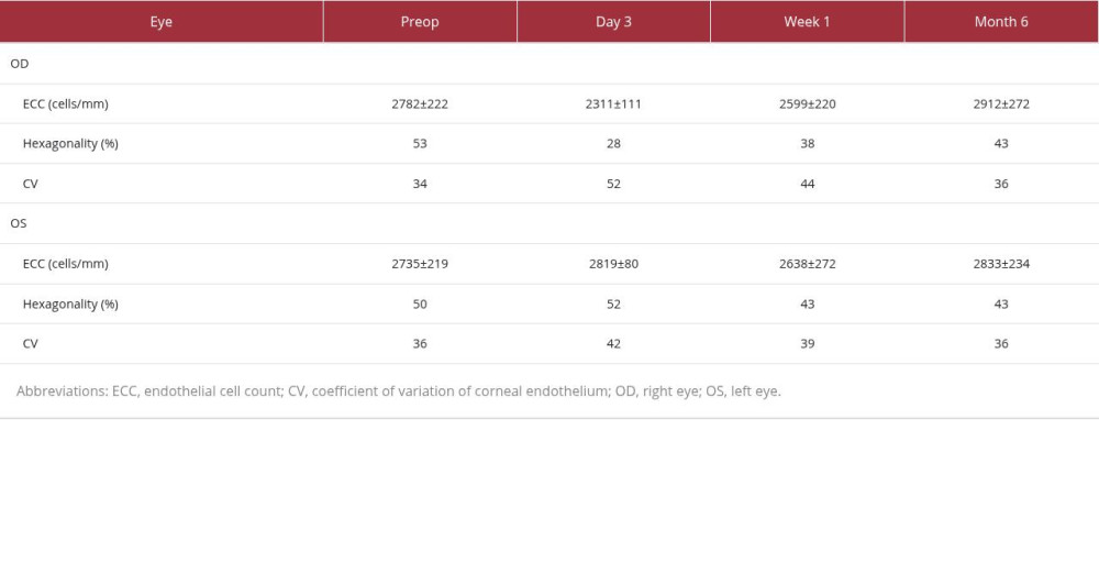 Corneal endothelial microscopy parameters.