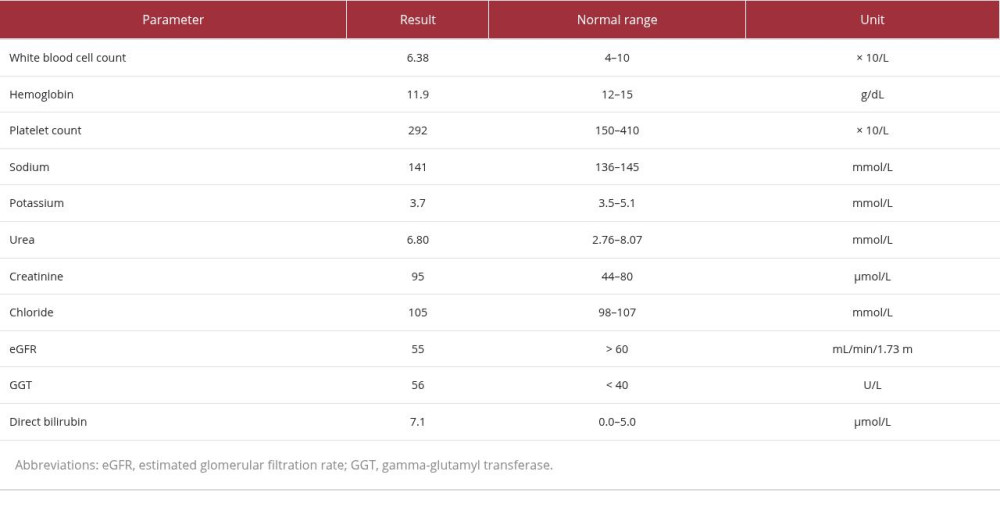 Patient blood investigation results.