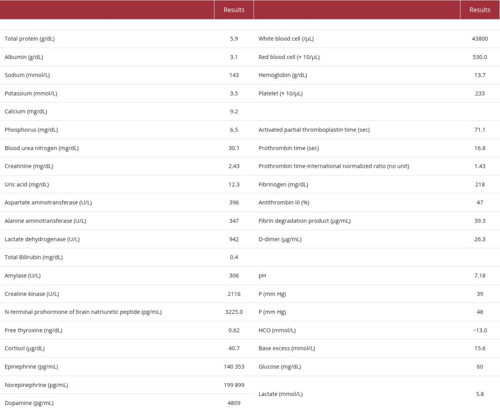 Laboratory data on arrival.
