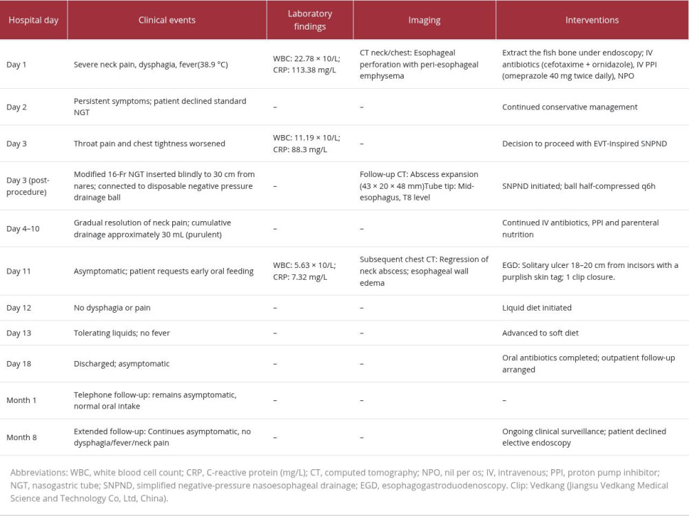 Chronological clinical course of the patient.