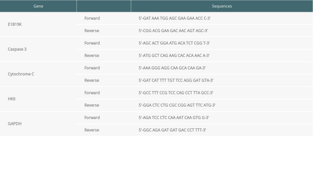 Primers for the PCR assay.