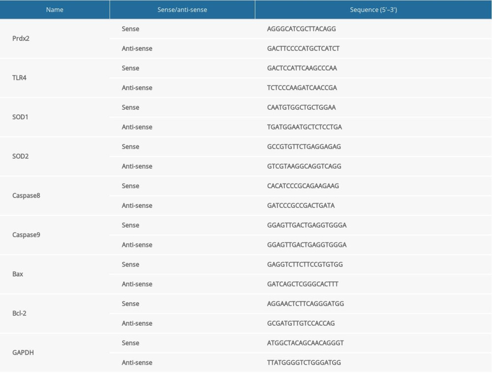Primers for qRT-PCR.