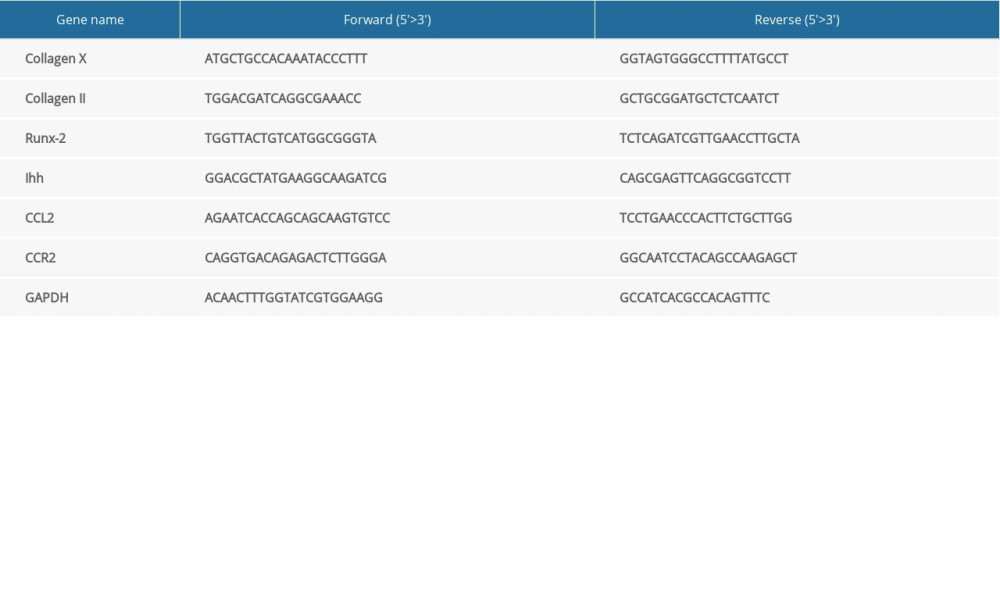Primer sequences for RT-PCR.