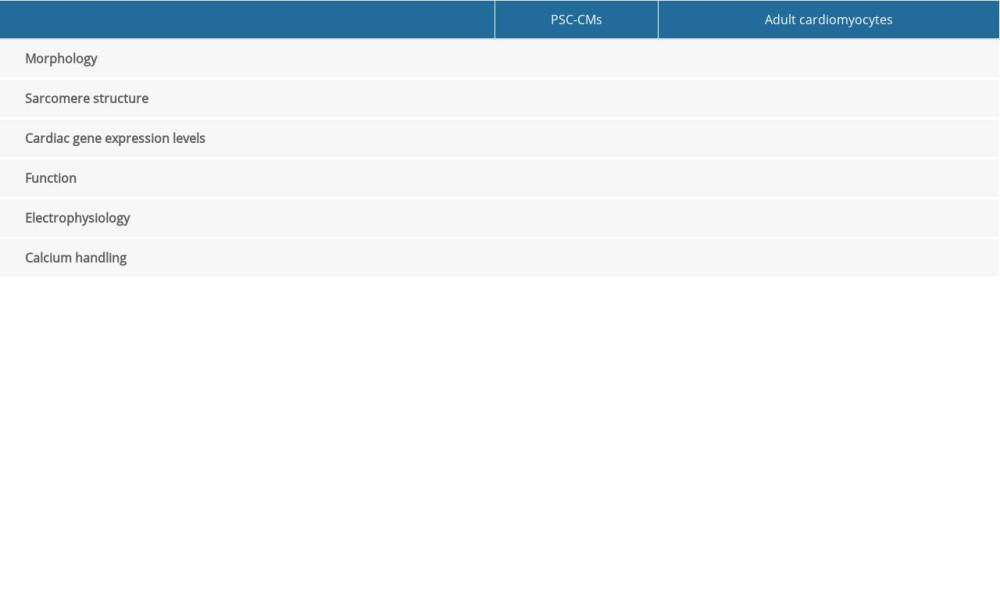 Main differences between PSC-CMs and adult cardiomyocytes.