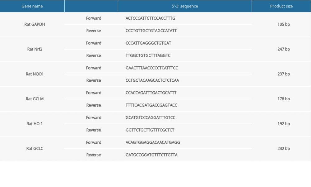 The primer sequence information for RT-qPCR.