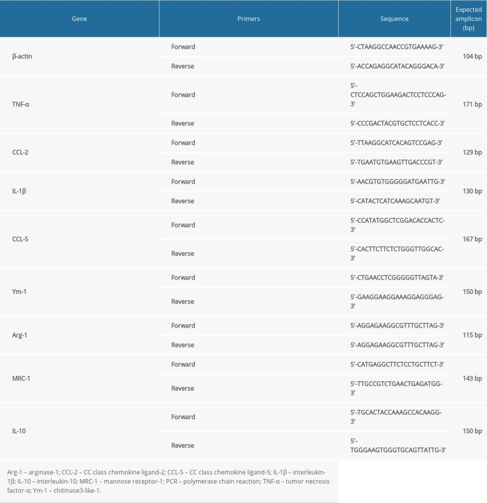 List of primers used for the PCR analysis.
