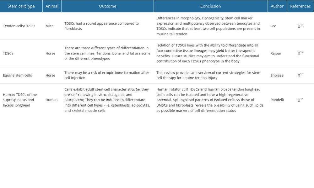 Current tendon stem cell (TDSC) research.