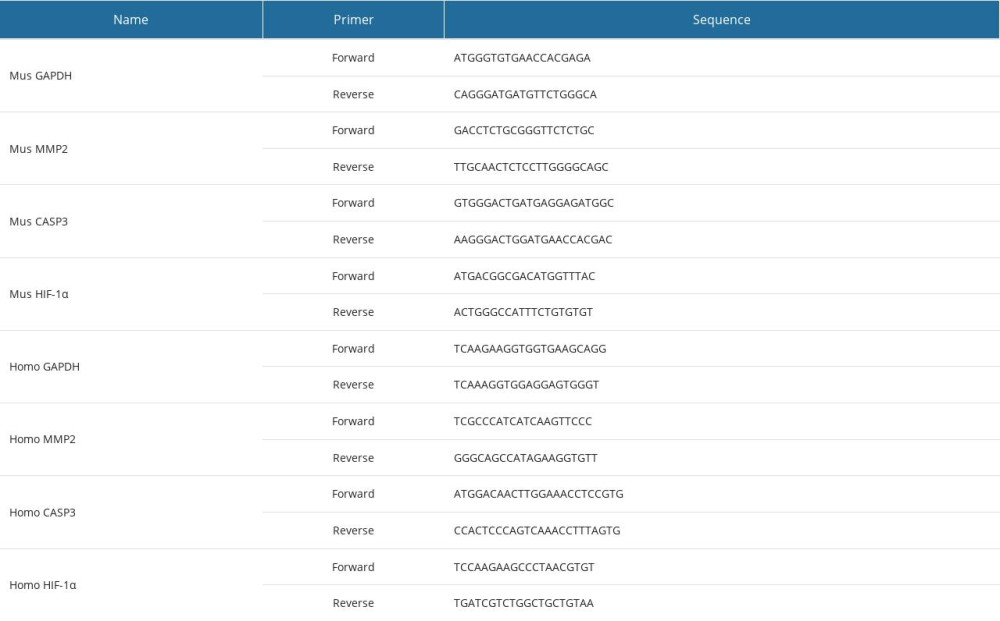 Primers used in quantitative real-time polymerase chain reaction.