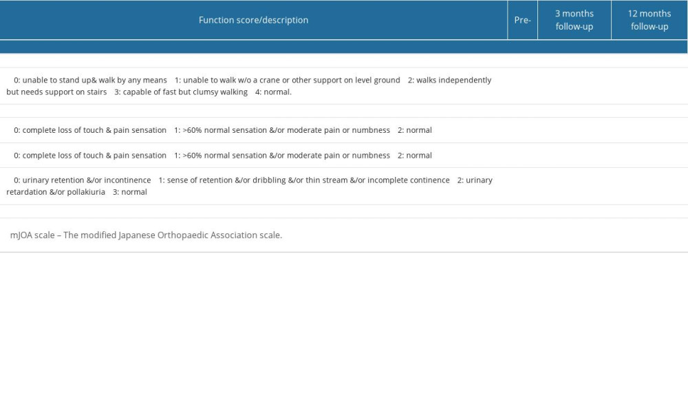 Evaluation of neurological function in the patient using the modified Japanese Orthopaedic Association (mJOA) scale for thoracic myelopathy.
