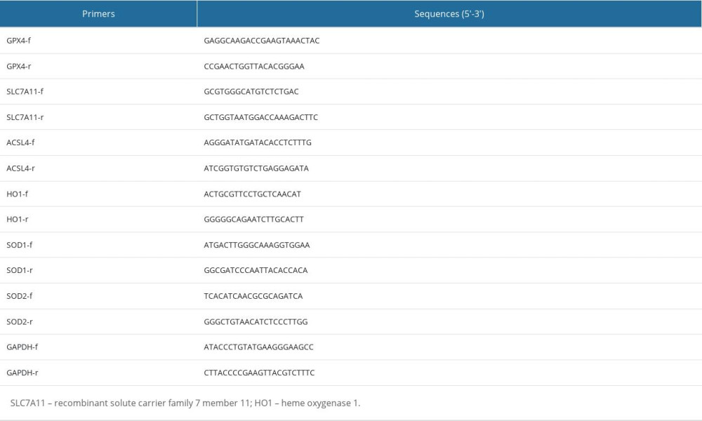 Primers for qRT-PCR.