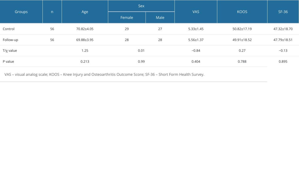 Comparison of general information and pre-intervention scale scores between the 2 groups of patients.