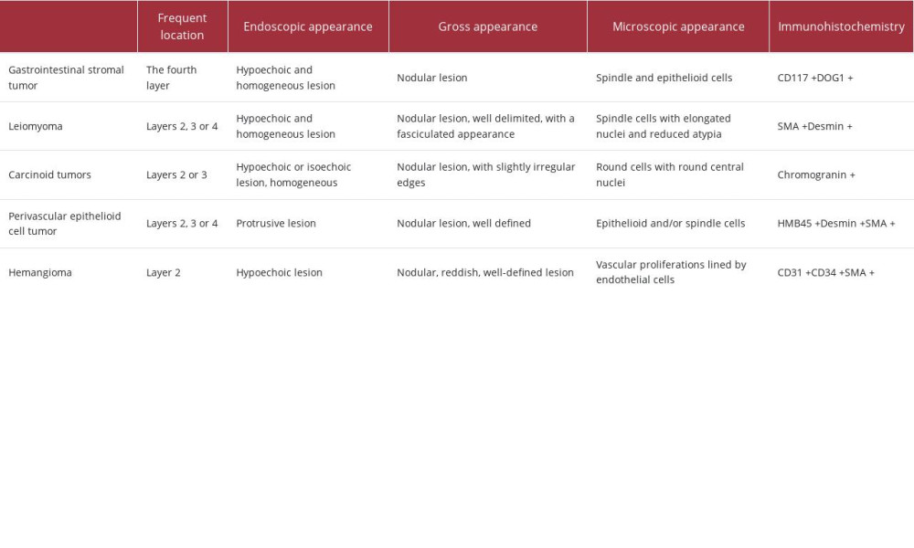 The main entities from which a gastric glomus tumor must be differentiated [27–31].