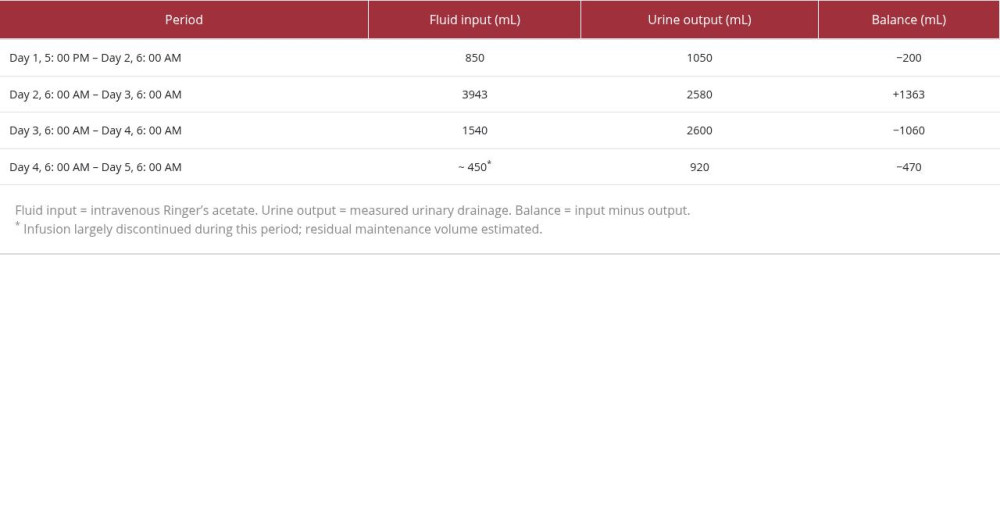 Fluid input/output balance by period.