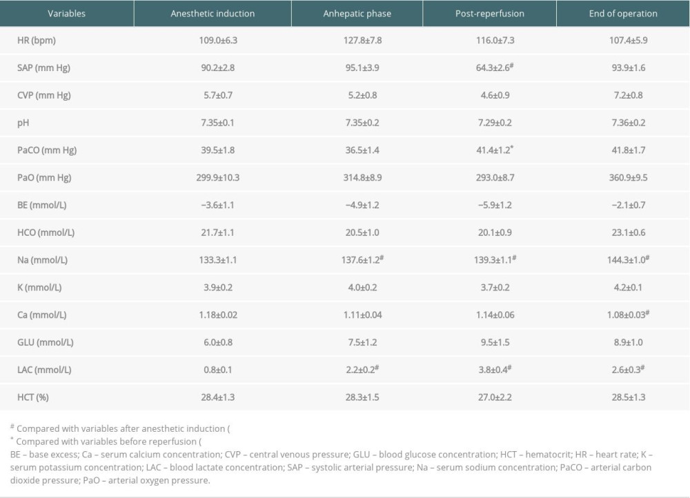 Intraoperative hemodynamics, electrolyte, and blood gas measurements.