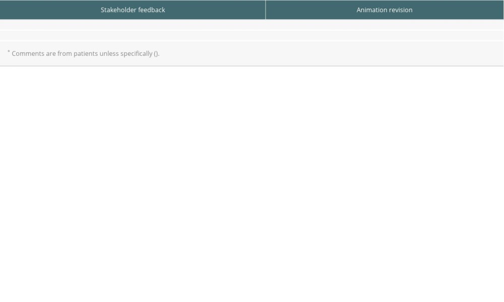 Animation revisions based on patient input from patients, experts, and stakeholders*.