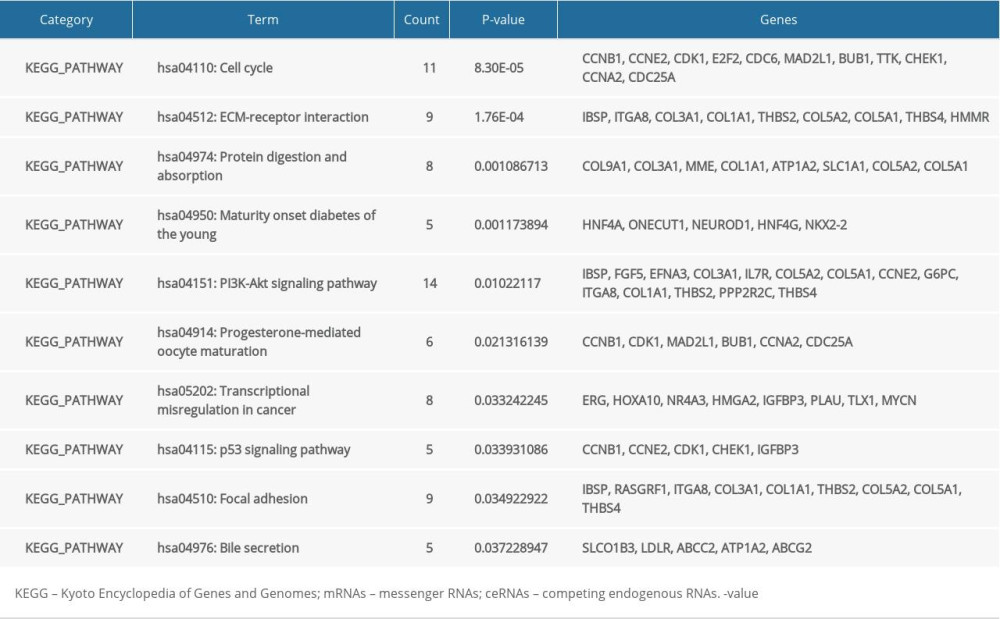 KEGG pathway analysis of mRNAs in the ceRNA network.